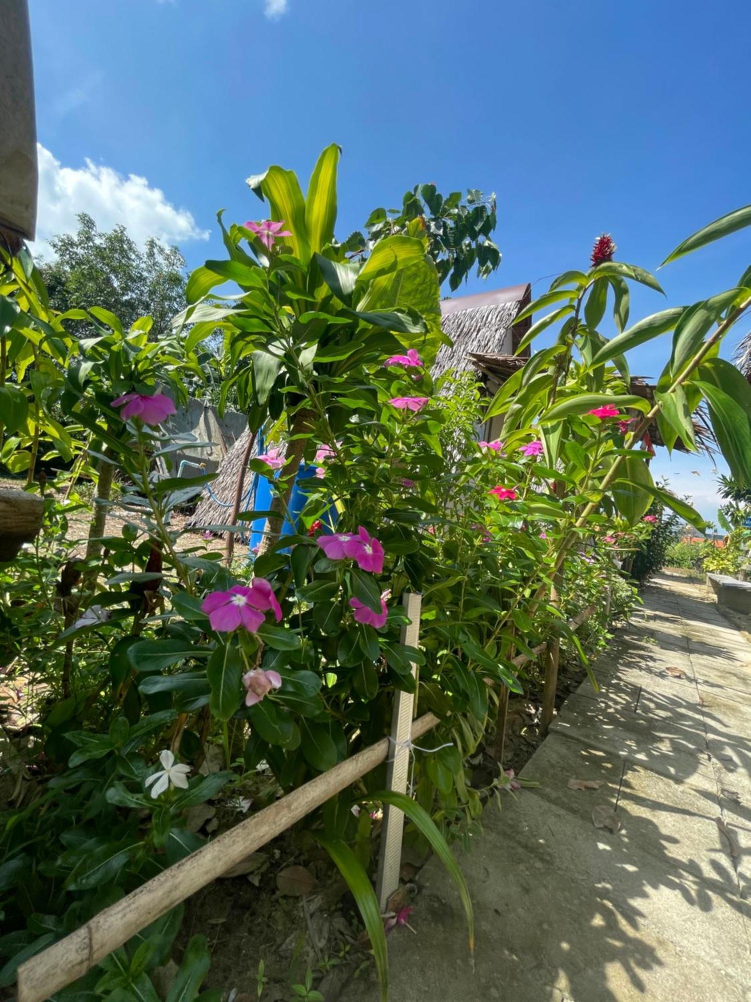 فندق Phuketairportcamping Ban Bo Sai Klang المظهر الخارجي الصورة